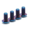 Titanium Full Complete Screws Bolts Set for Talaria Sting