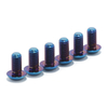 Dirt Ebike Titanium Screws Bolts Set for Talaria XXX