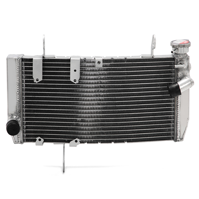 Motorcycle Radiator for DUCATI DESERTX 23 / Monster 23-24