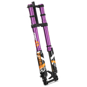 FASTACE Front Fork Suspension for Electric Dirt Bike