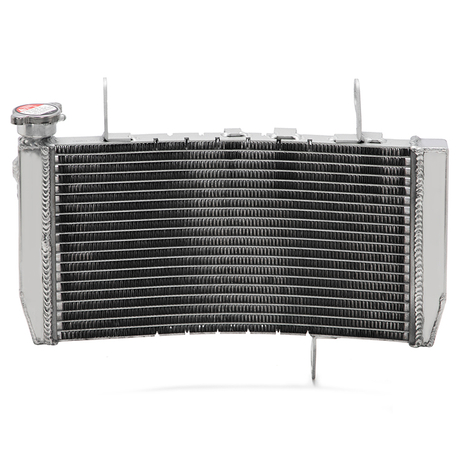 Motorcycle Radiator for DUCATI DESERTX 23 / Monster 23-24